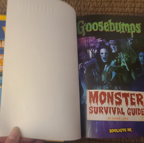 Young Adult Books - Picture 7 of 10